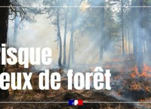 Risque d'incendie de forêt et de végétation